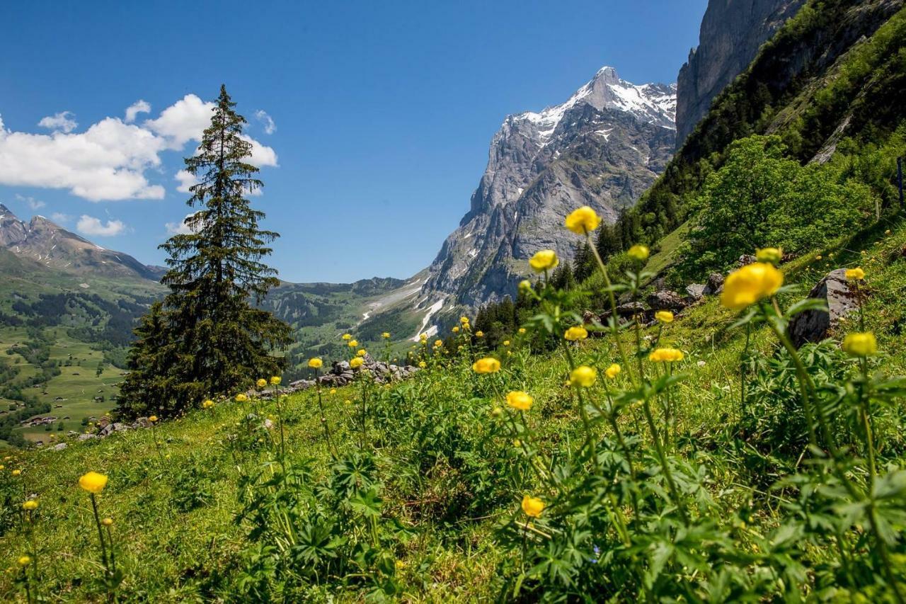 Chalet Verbrunnenhaus Grindelwald Exterior photo